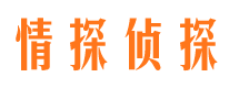 聂拉木外遇调查取证